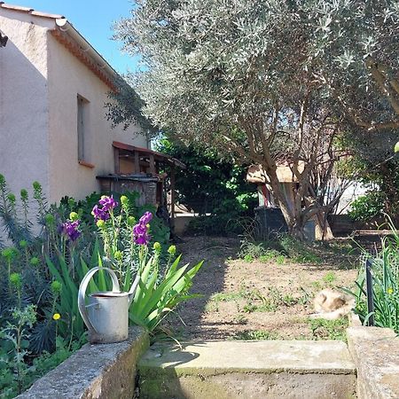 Villa 80 M2 Jardin Terrasse 3 Chambres Provence Volx ภายนอก รูปภาพ